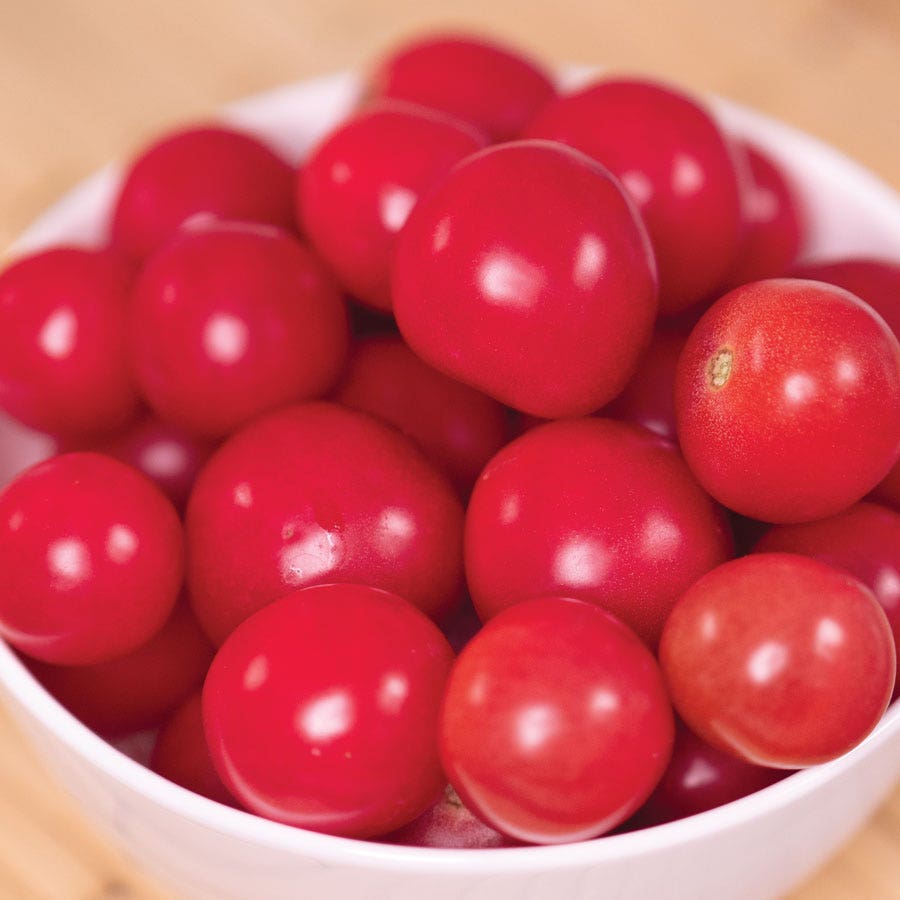 Park's Junior Whopper Pink Hybrid Tomato Seeds