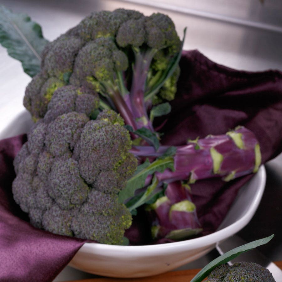 Purple Magic Hybrid Broccoli Seeds