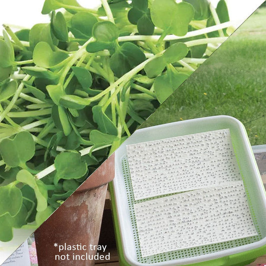 Sow Effortless Collection™ Organic Arugula Microgreen Seed Mats Set of 2