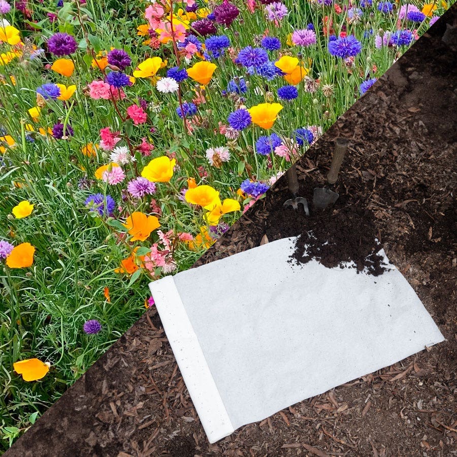 wildflower seeds block of the month Sow Effortless Collection™ Wildflower Mix Seed Mat – Park Seed