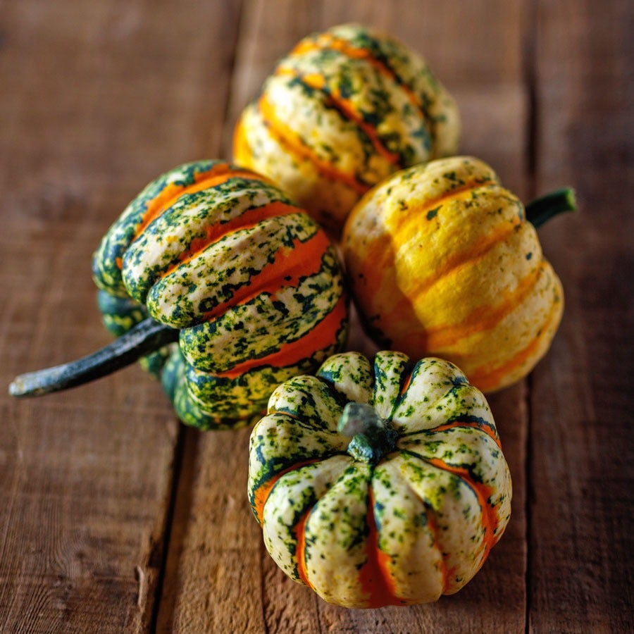 Thriller Hybrid Squash Seeds