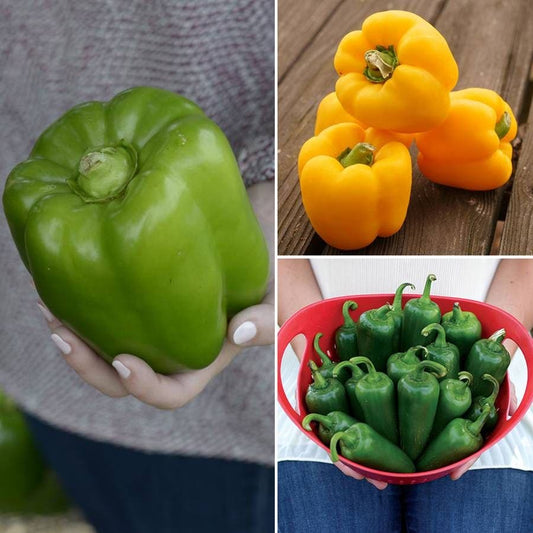 Park's Whopper Pepper Combination