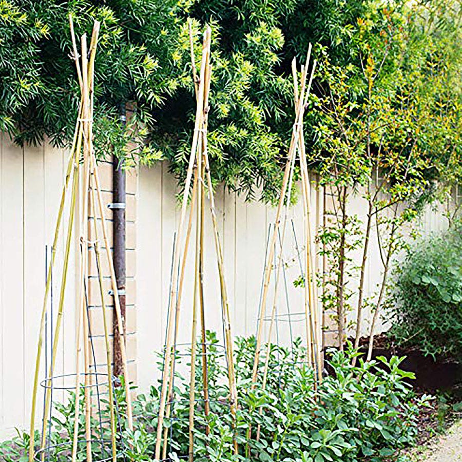 Bamboo Plant Stakes - Set of 12