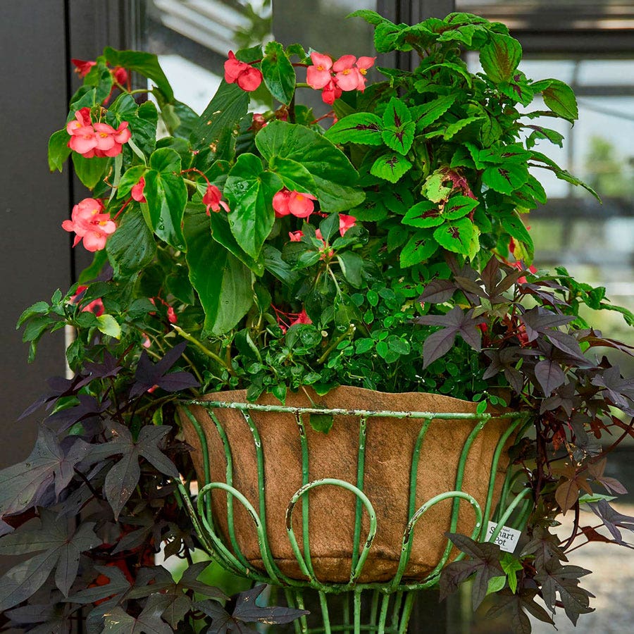 Smart Pot® NoCoco™ Liners - 14 & 16 Inch Fabric Planters (Natural)
