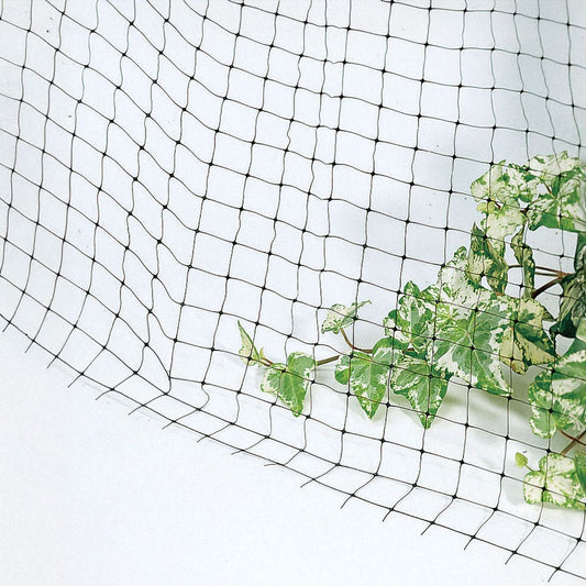 Park's Anti-Bird Net