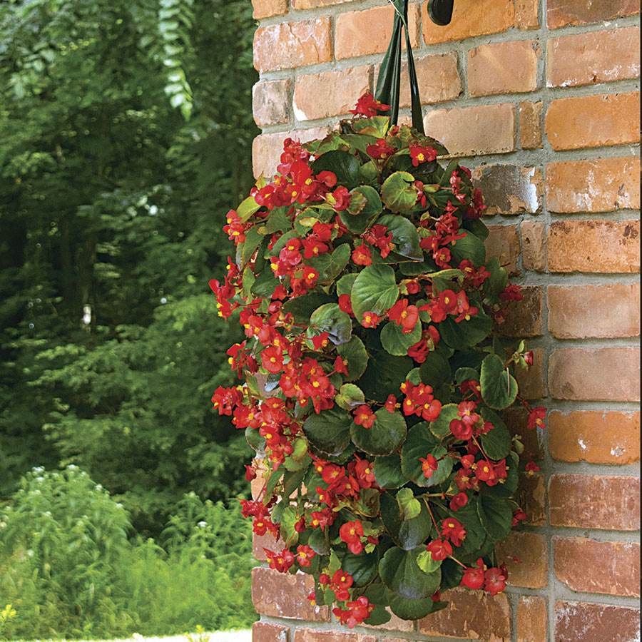 hanging flower planter bags Growin' Bags 10 Hole