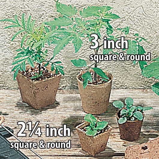 Jiffypots® Square Biodegradable (Pack of 100)