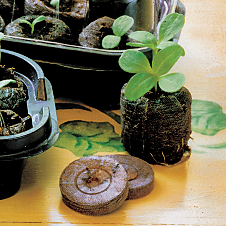 Jiffy® Windowsill Greenhouse and Jiffy-7® Refills