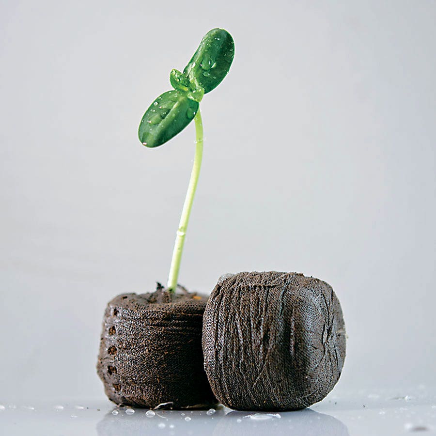 Jiffy® Windowsill Greenhouse and Jiffy-7® Refills
