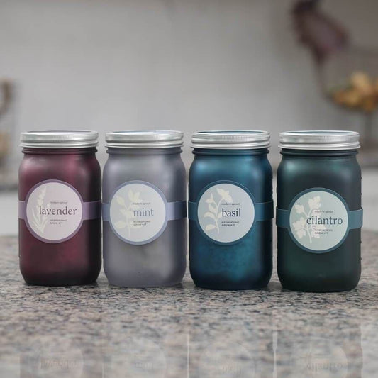 Modern Sprout Garden Jars