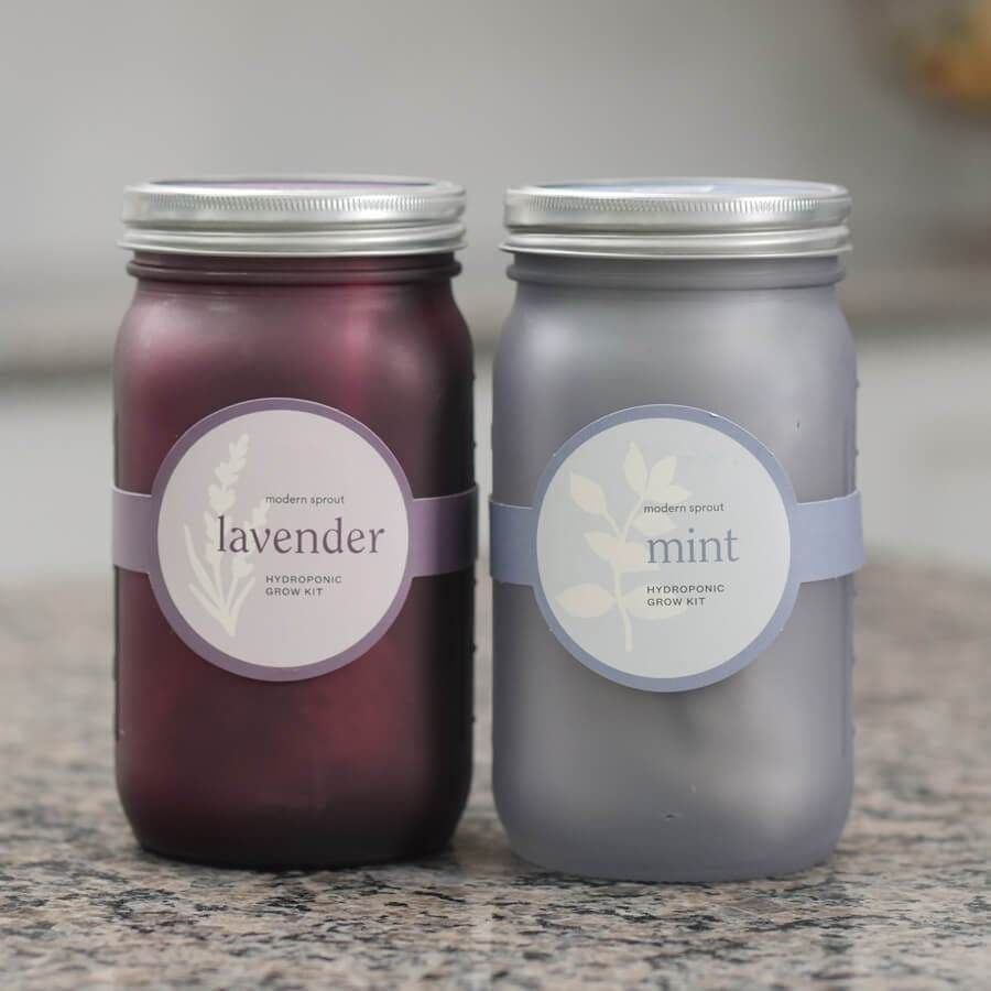 Modern Sprout Garden Jars
