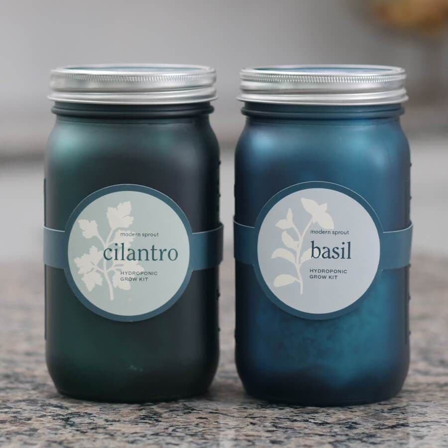 Modern Sprout Garden Jars