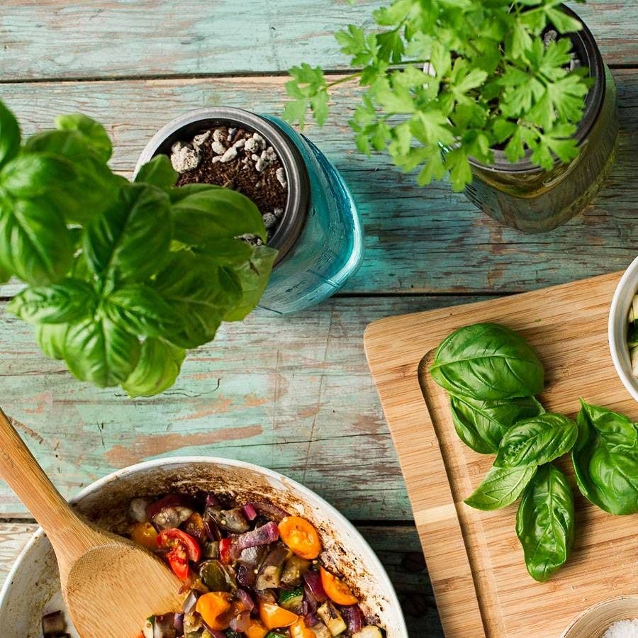 Modern Sprout Garden Jars
