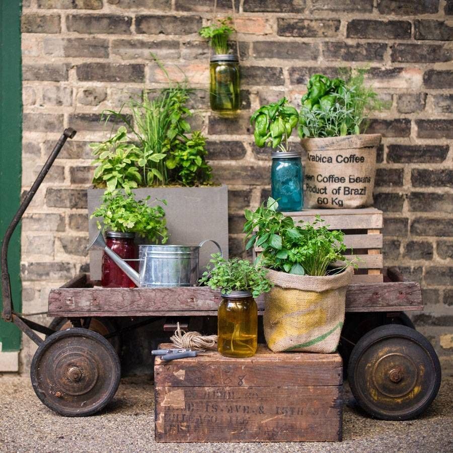 Modern Sprout Garden Jars