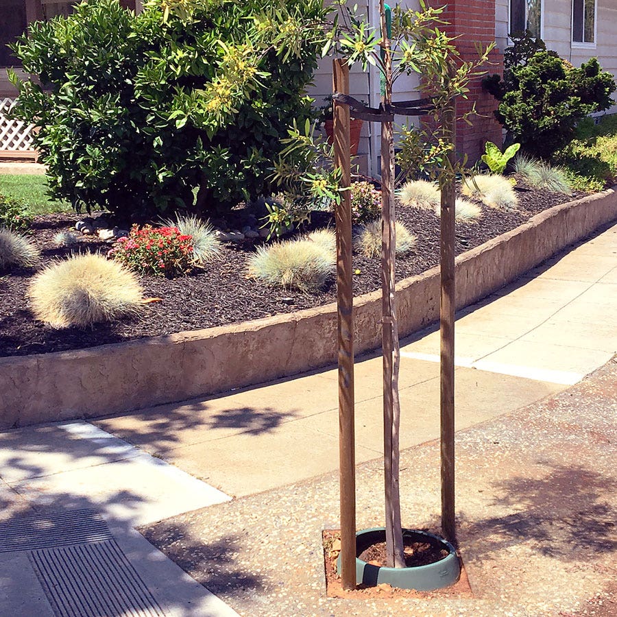 Greenwell™ Water Saver