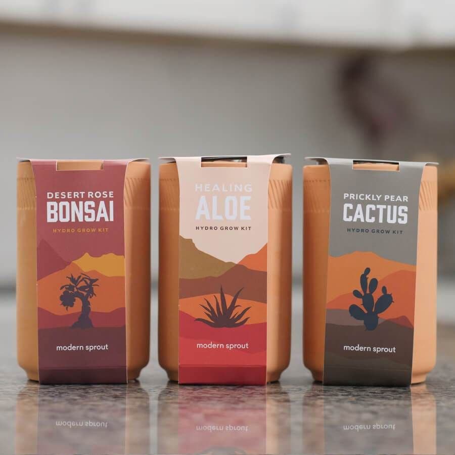 Modern Sprout Terracotta Grow Pot Plant Kits