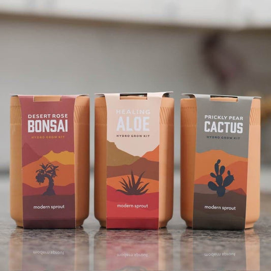 Modern Sprout Terracotta Grow Pot Plant Kits