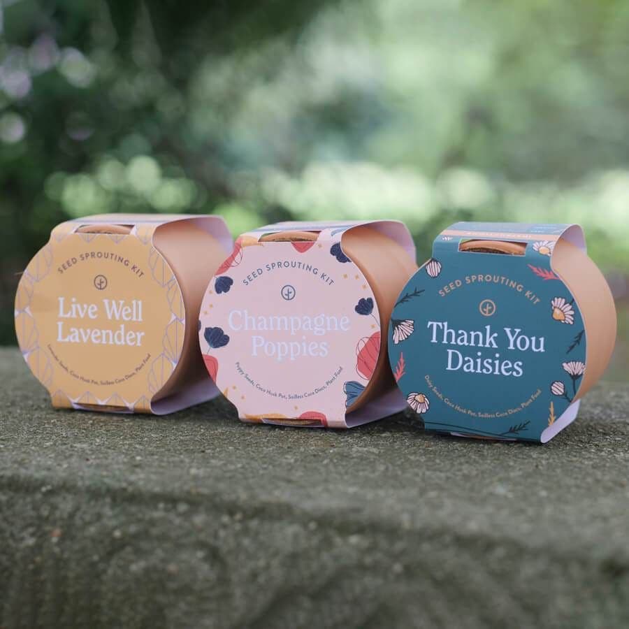 live well lavender seed sprouting kit Modern Sprout Tiny Terracotta Flowering Kits – Park Seed