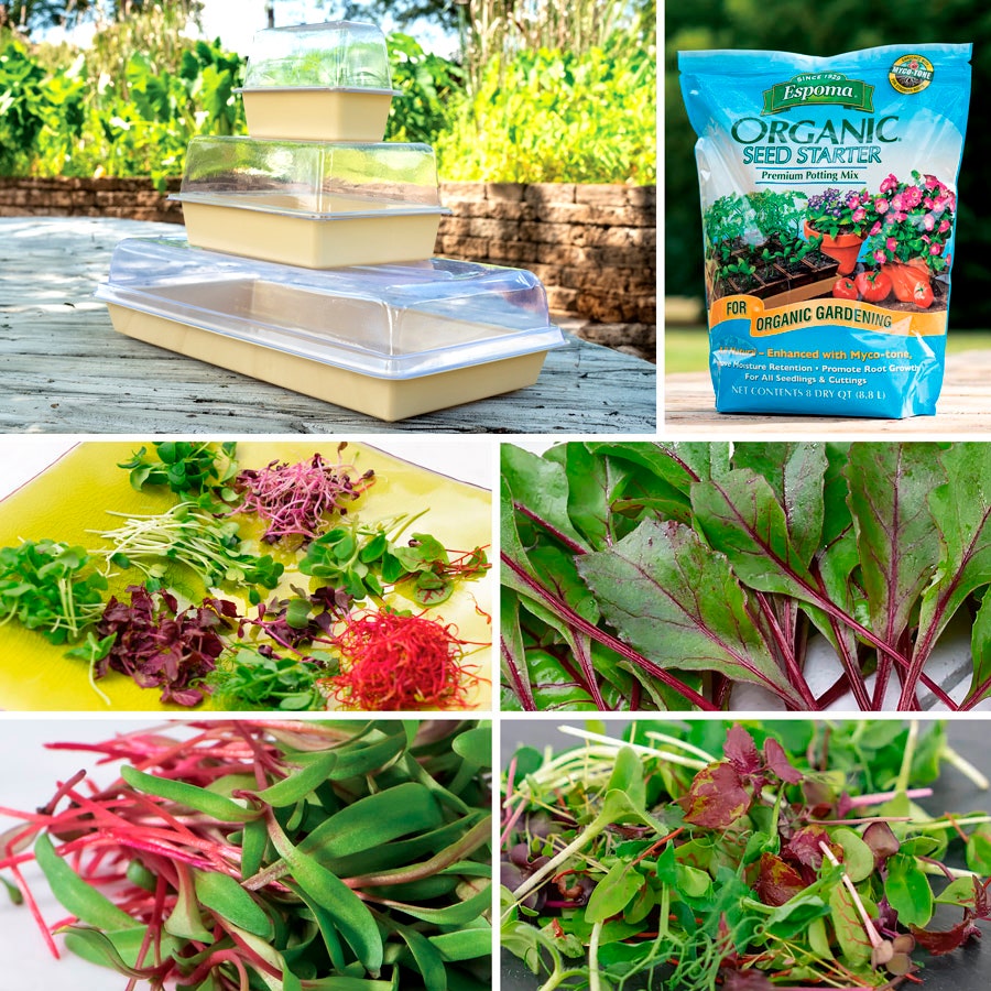 potting mix for microgreens Park's Microgreens Collections – Park Seed