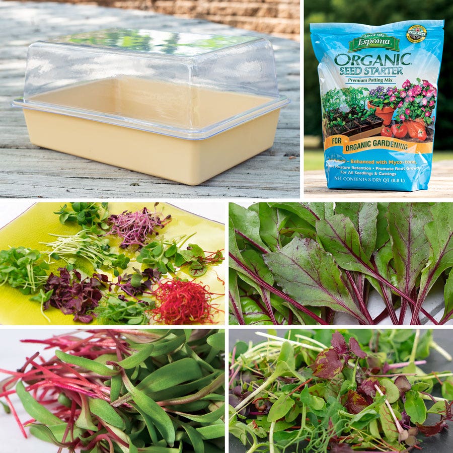 Park's Microgreens Collections