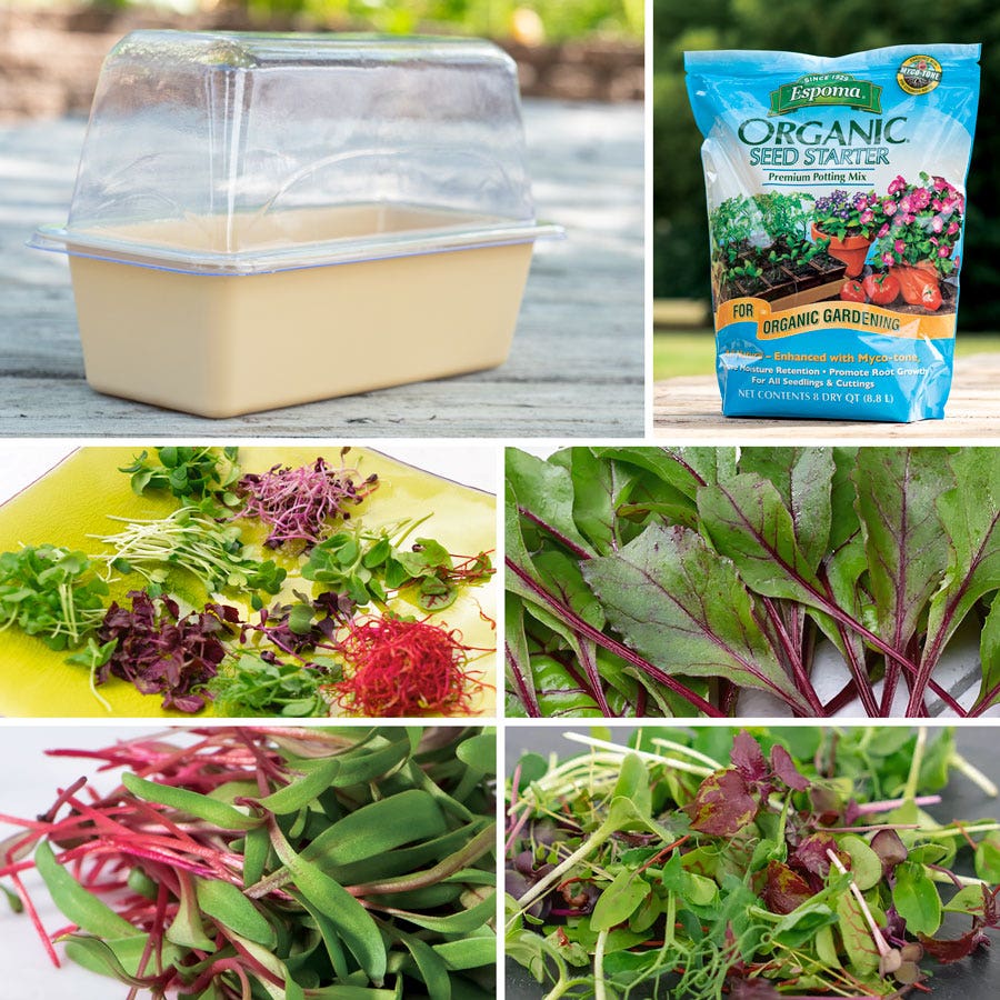 Park's Microgreens Collections
