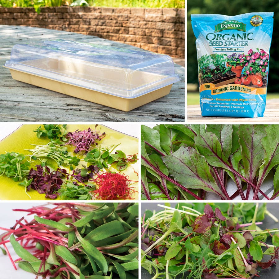 Park's Microgreens Collections