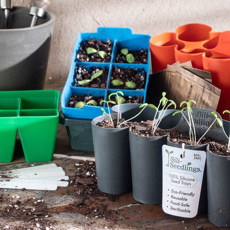 planting trays for seeds Sili-Seedlings® 6-Cell & 10-Cell Seedling Trays – Park Seed