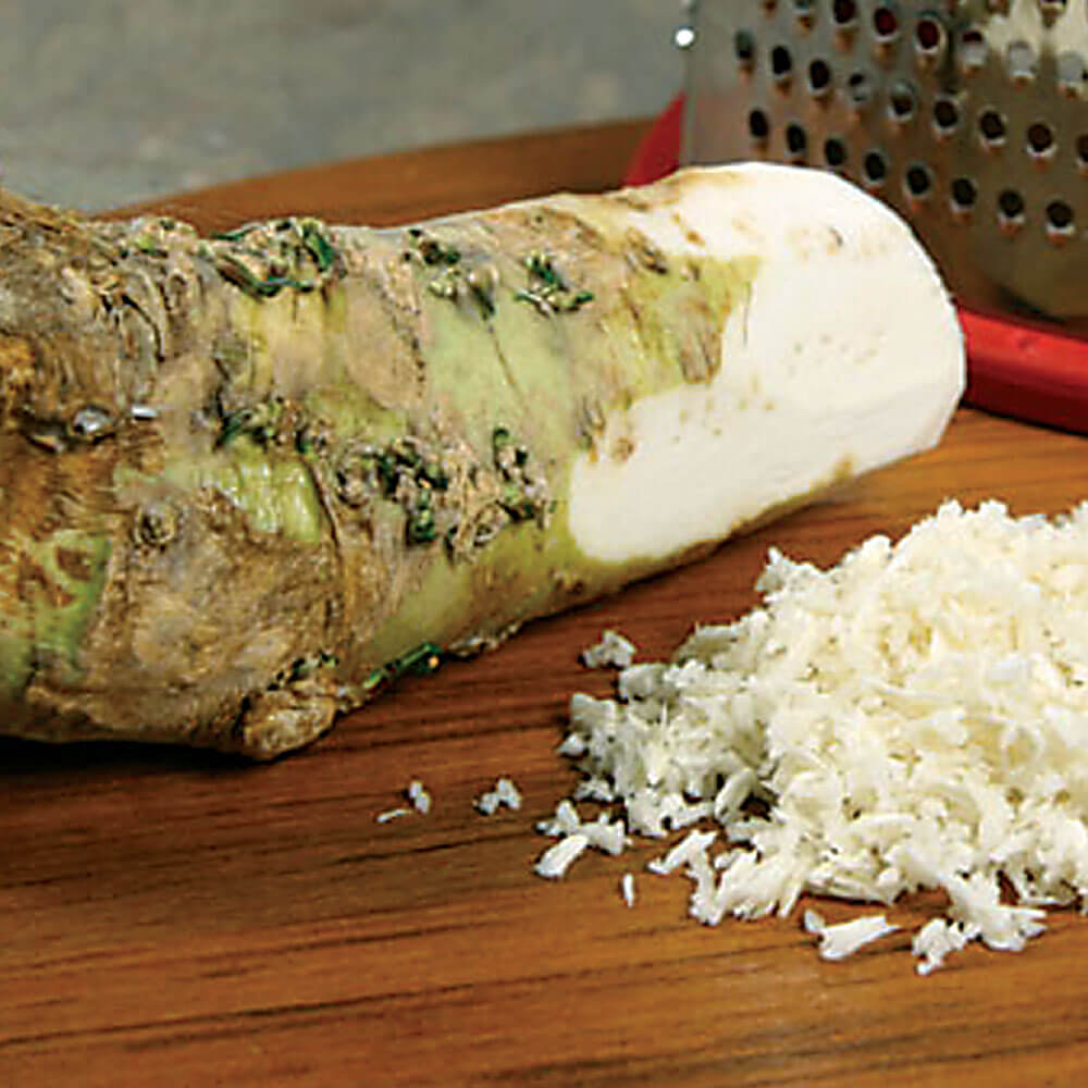 Armoracia Big Top Horseradish
