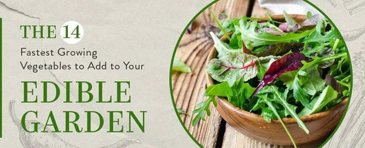 The 14 Fastest Growing Vegetables to Add to Your Edible Garden
