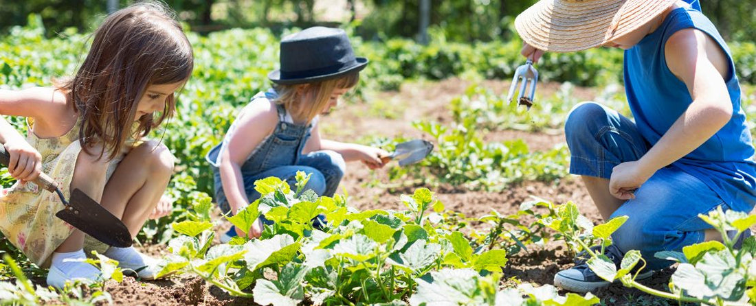 10 Game-Changing New Plants and Gardening Trends for Summer 2026