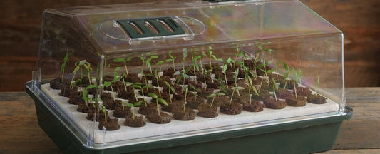 Start Growing with the Bio Dome