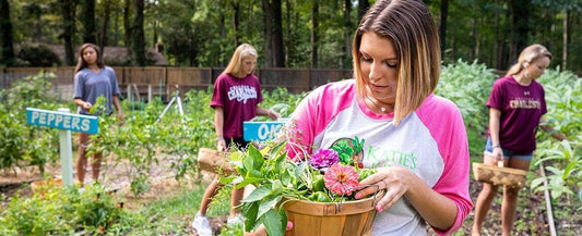 Katie's Krops: How Your Seed Purchase Fights Hunger