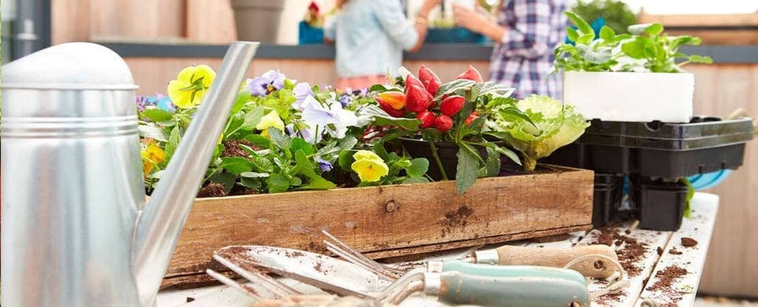 Urban and Apartment Gardening