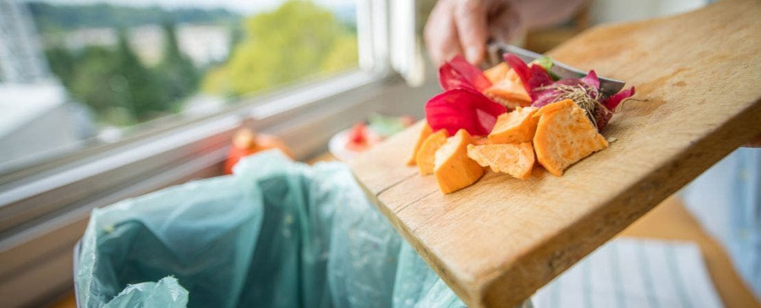 The Beginning Gardener’s Guide to Composting