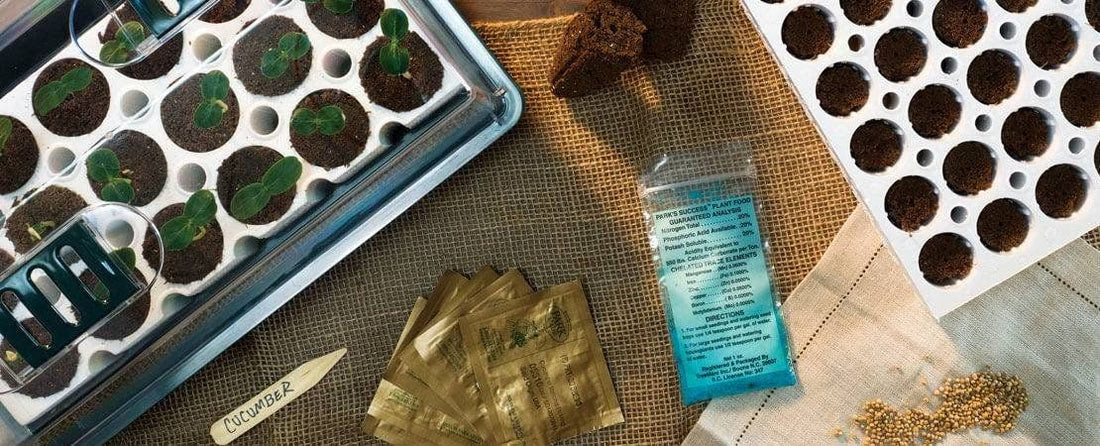 Starting Seeds Indoors with the Park Seed Bio Dome Seed Starting Kit