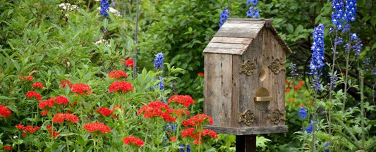 Birdhouses: When and Where