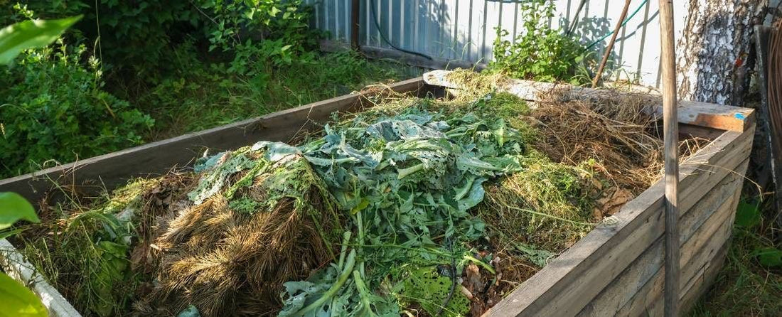 How to Compost: A Guide for Every Gardener