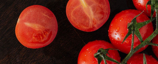 Park's Guide to Early Season Tomatoes