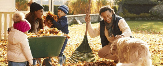 Benefits of Planting in Fall