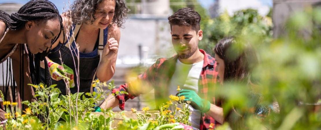 Garden Learning Lab Garden Learning Center – Park Seed
