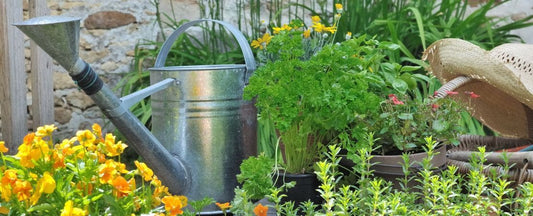 10 Expert-Recommended Tools for Your Seed Starting Success