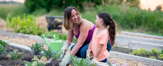 Gardening How Tos