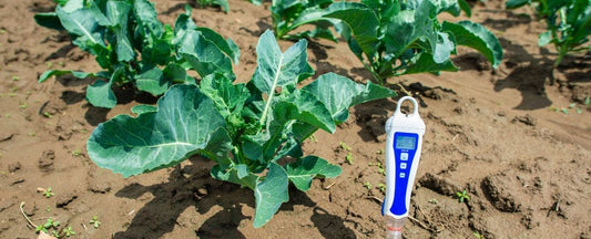 6 Essential Gardening Tools Every Gardener Needs