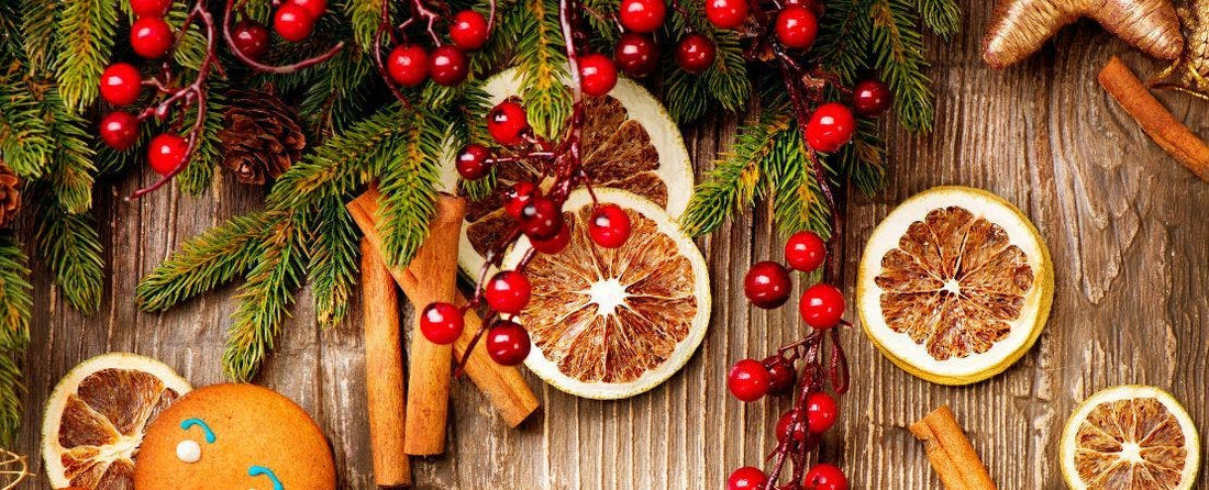 Holiday Gifts That Grow: Creative Ideas with Seeds