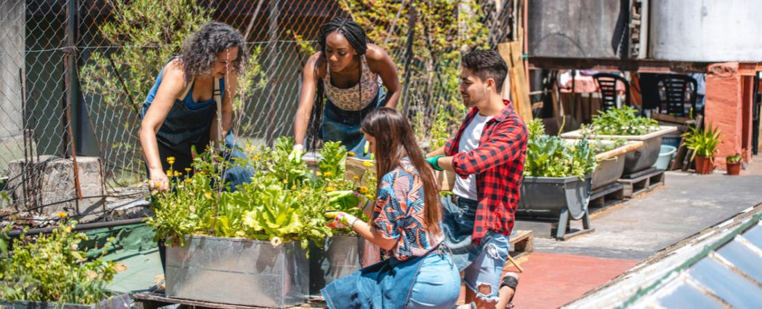 You Can Grow Vegetables, Herbs, and Flowers—Anywhere, Anytime