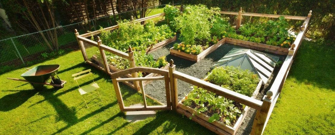 Unlocking New Possibilities: The USDA Hardiness Zone Map and Your Garden