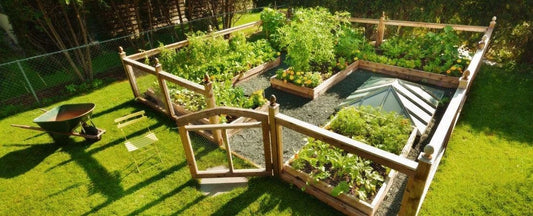 Unlocking New Possibilities: The USDA Hardiness Zone Map and Your Garden