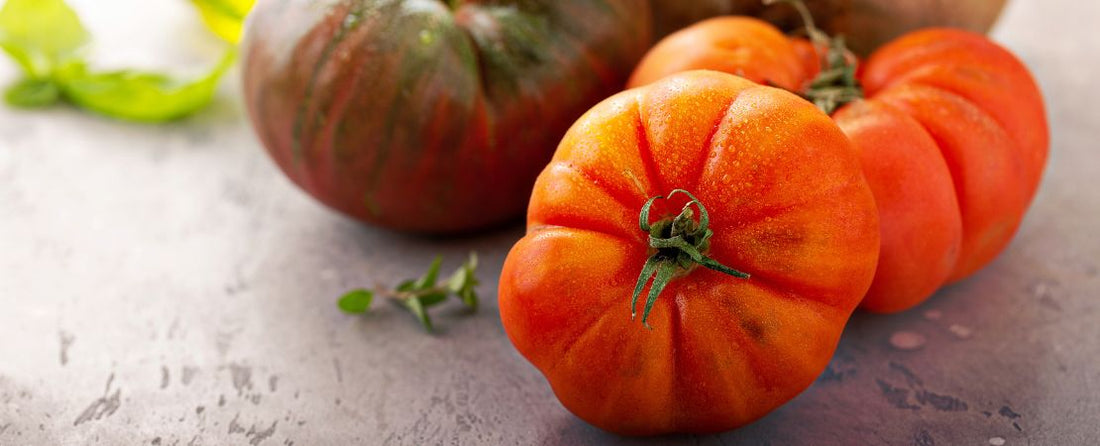 Top Heirloom Seeds to Grow  Park Seed