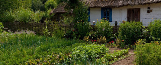 The Story of Gardening: How Gardening Changed the World