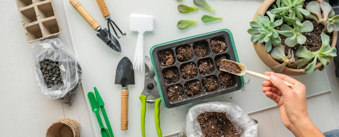 Start Your Seeds Indoors This Season